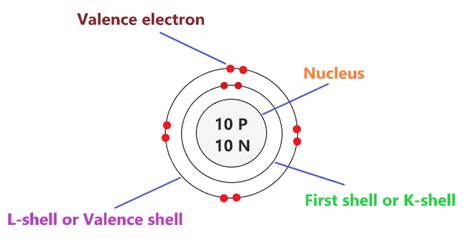 Neon Bohr Model - How to draw Bohr diagram for Neon(Ne) atom