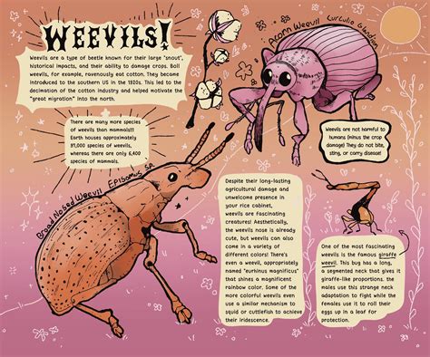 Bug facts!!! — GRINKIN MAGAZINE