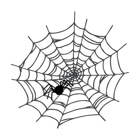 Simple Hand Drawn Spider Web Illustration Cute Gossamer Clipart