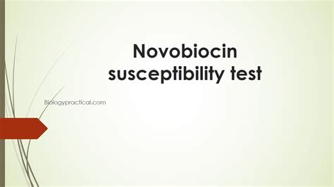 Novobiocin Susceptibility Test Principle Procedure And Results