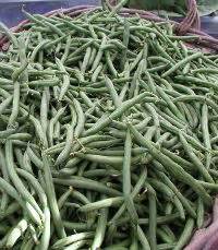 Grilled Green Beans With Gorgonzola Vinaigrette Whats Cooking America