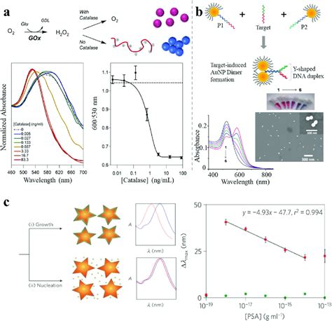 Lspr Shift Based Sensor A A Catalase Sensing Inverse Assay Of