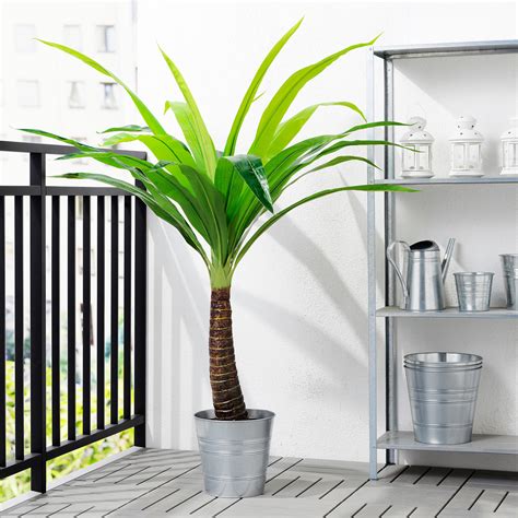 FEJKA искусственное растение в горшке д/дома/улицы пальма 24 см | IKEA ...