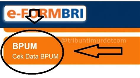 LOGIN Eform Bri Co Id Bpum Pakai KTP Cek Penerima BLT UMKM Rp 2 4 Juta