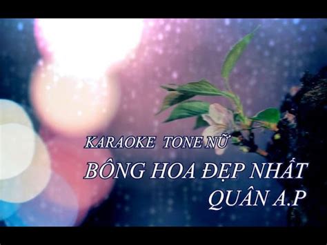 Top 10 Bông hoa đẹp nhất Karaoke Tone Nữ 2023 Cập nhật mới nhất