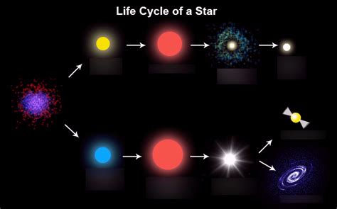 Life Cycle Of Star Diagram Quizlet