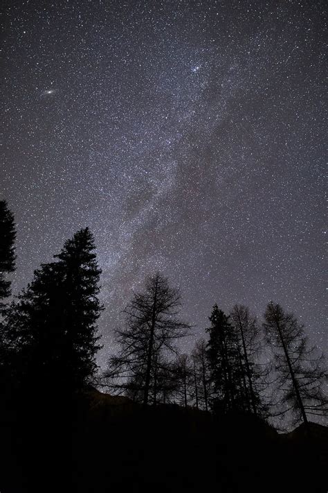 Hd Wallpaper Silhouette Of Trees Under Starry Night Stars Dark