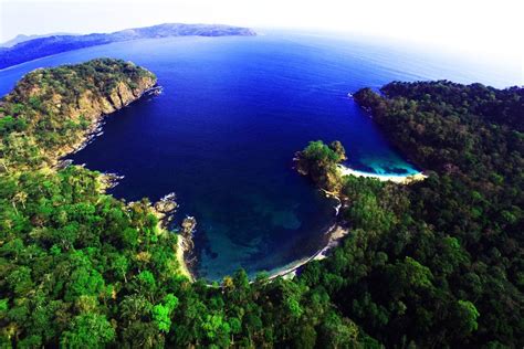 Taman Nasional Meru Betiri Lokasi Flora Dan Fauna Hingga Tempat