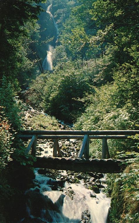 Vintage Postcard Wahkeenah Falls Waterfalls Columbia River Gorge Oregon