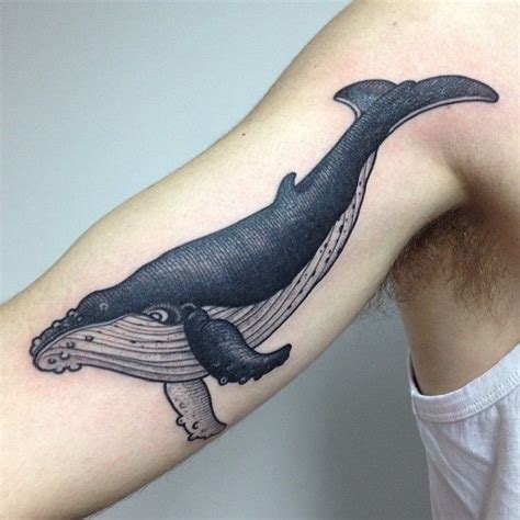 Best Ideas About Humpback Whale Tattoo On Pinterest Whale Tattoos