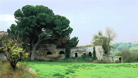 Riserva Naturale Valle Dei Casali Roma