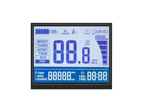 monochrome segment  dongguan fangsheng display coltd