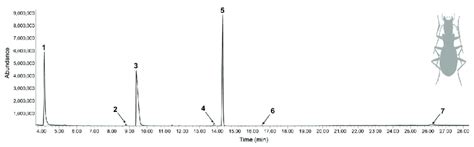 Gas chromatography-mass spectrometry (GC-MS) total ion chromatogram of... | Download Scientific ...