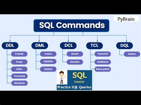 All Types Of SQL Commands With Syntax Example DDL DQL DML DCL