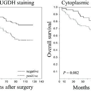 Kaplan Meier Curves Show Overall Survival Of Patients With Lung