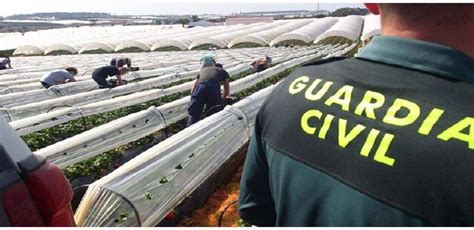 La Guardia Civil Activa Este Jueves El Dispositivo Especial De