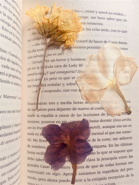 10 Ideas Que Puedes Hacer Con Flores Secas Artofit