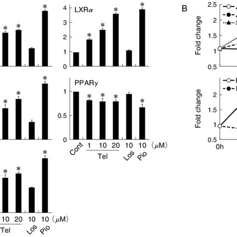 Telmisartan Increases ABCA1 ABCG1 SR B And LXR And Attenuates PPAR