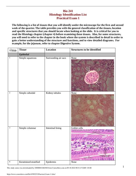 Practical Exam 1 1 His Bio 241 Histology Identification List