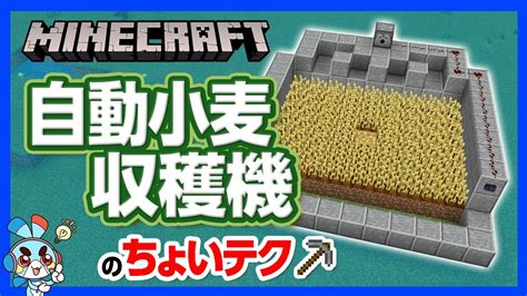 【マイクラ】自動小麦収穫機の作り方！やっぱり小麦は簡単に収穫したい！【攻略】【建築】 Youtube