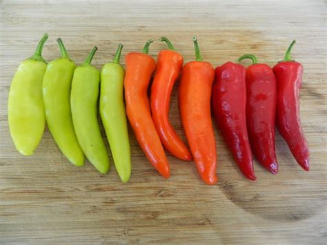 Hungarian Hot Wax Chilli Seeds 25 X Hungarian Hot Wax Pepper Seeds