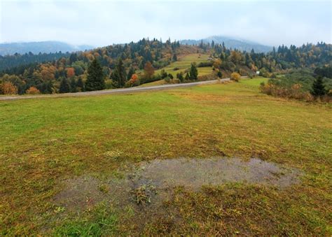 Premium Photo Autumn Carpathians Ukraine