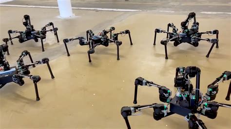 Video Friday: Attack of the Hexapod Robots - IEEE Spectrum