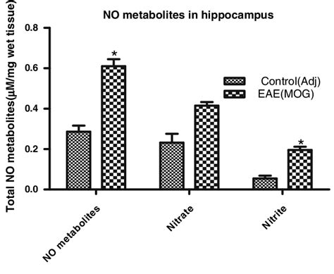 Nitric Oxide NO Metabolites In The Hippocampus Of Rat Brain Tissue