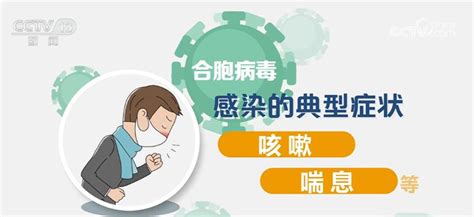 如何区分流感、新冠和合胞病毒？如何科学应对？专家详细解读 深圳新闻网