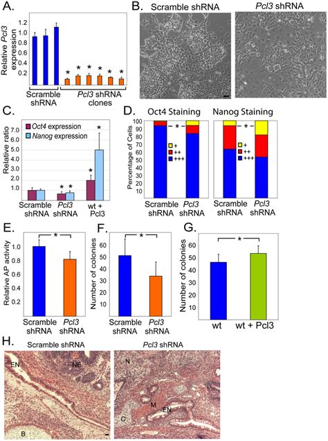 Pcl3 Promotes Esc Self Renewal A Pcl3 Expression Levels Measured By