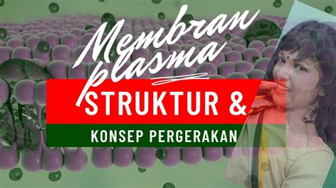 F4 Biology Kssm Bab 3 Membran Plasma Struktur Dan Konsep Pergerakan Youtube