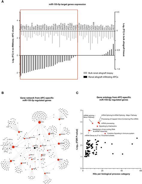 Frontiers Integrative Omics Analysis Unravels Microvascular