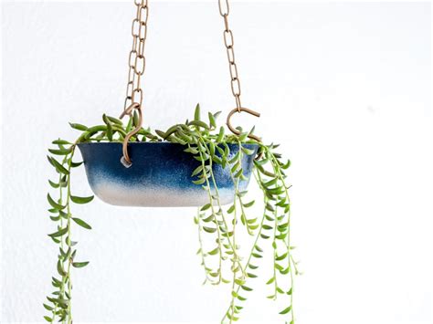 10 Hanging Plants To Add Style And Texture To Your Home - Anika's DIY Life