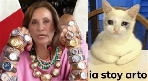 Mira los memes que dejó la conferencia de prensa de Dina Boluarte por