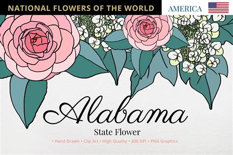 Alabama State Flower Graphic by Hanatist Studio · Creative Fabrica