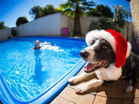 7 Australian Christmas Traditions We All Just Love