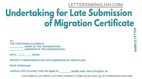 Undertaking For Late Submission Of Migration Certificate Undertaking