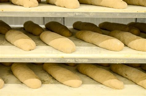 Making Bread In Bakery Uncooked Bread Dough On A Rack Ready For Baking