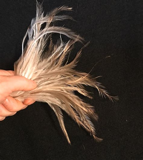 Emu Feathers 8 To 9 Inches Long 24 Pack Etsy