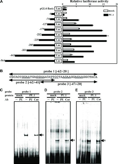 PU 1 Transactivates The CIITA PI Promoter Through Direct Binding To A