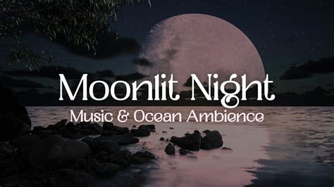moonlit night relax  peaceful  calm ocean ambience  hours