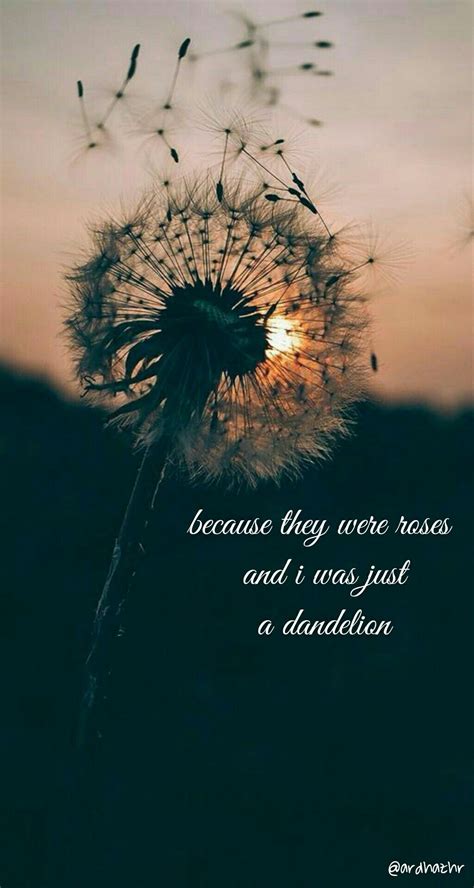 Dandelion Quotes Shortquotes Cc