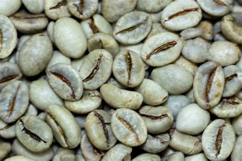 Robusta Wet Polished Helena Coffee Vietnam