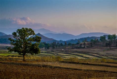 Araku Valley These Offbeat Things Will Make Your Vacation Special