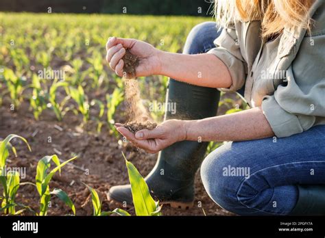 Sequía En Campo Agrícola Agricultor Que Mantiene El Suelo Seco En La Mano Y Controla La Calidad