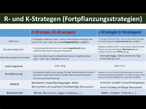 R Und K Strategen Fortpflanzungsstrategien Biologie Kologie