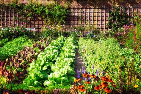 Comment concevoir un jardin écologique