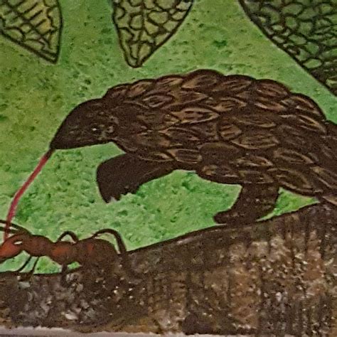 world pangolin day – upcycle the heck out of it