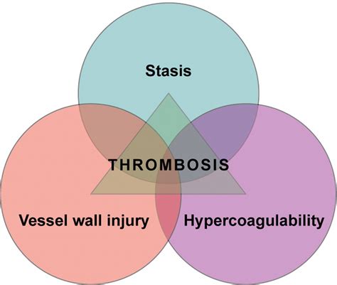 Virchows Triad Diagram Medical School Stuff Nursing Notes