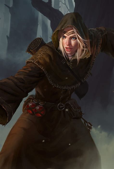 Pathfinder Kingmaker Portraits Imgur Fantasy Character Art Female Character Design Fantasy